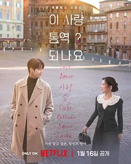 爱情怎么翻译电视剧