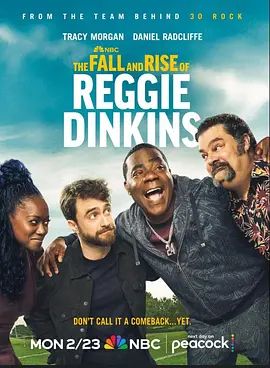 雷吉·丁金斯的兴衰电视剧