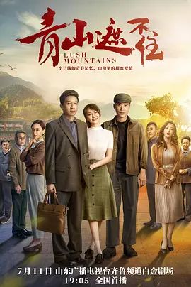 青山遮不住电视剧