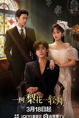 一树梨花一轻舟电视剧